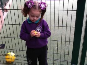 Easter Egg Hunt