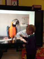 Learning all about Pets!