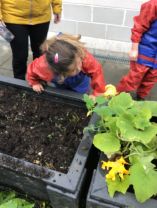 Forest Schools & Nature Walk 