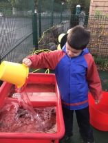 Class 12 love Forest Schools 