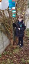 Exploring Forest Schools