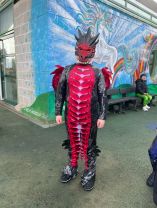 World Book Day - Class 13