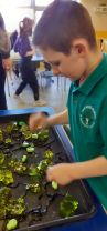 Green Day Sensory Play