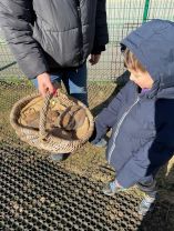 Blackberry Farm Visit