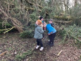 Exploring the local woodland