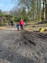 Muddy puddles and tree stumps